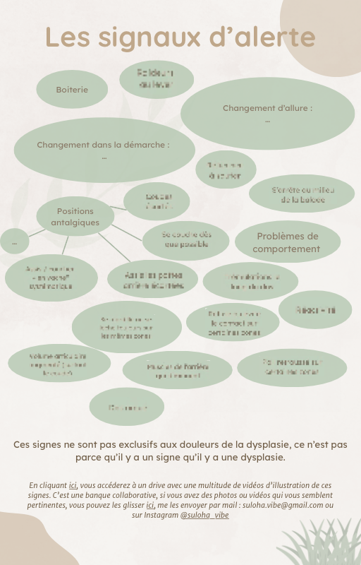 E-book - Dysplasie du Chien : Guide et Témoignage