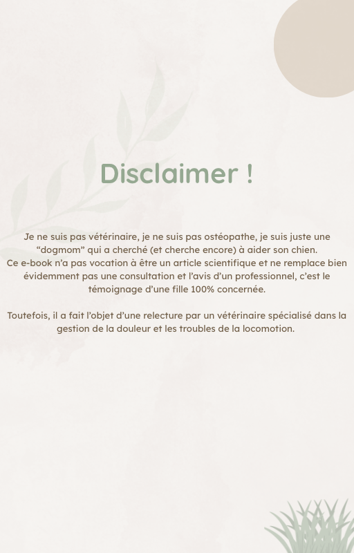 E-book - Dysplasie du Chien : Guide et Témoignage