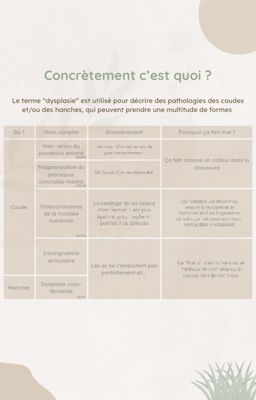 E-book - Dysplasie du Chien : Guide et Témoignage