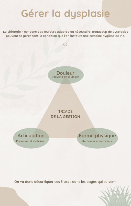 E-book - Dysplasie du Chien : Guide et Témoignage